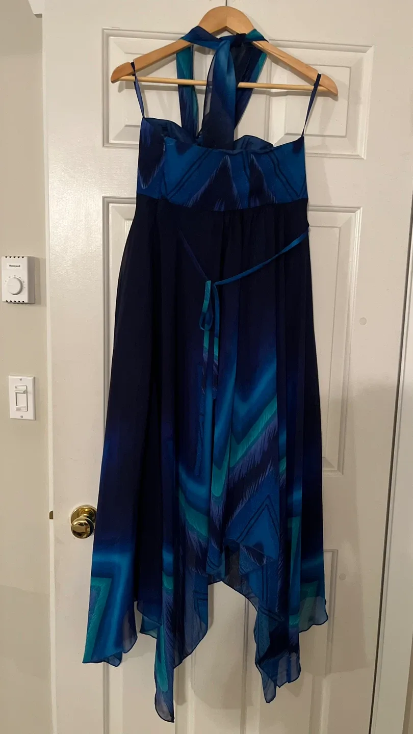 Blue dress image indicator(2)