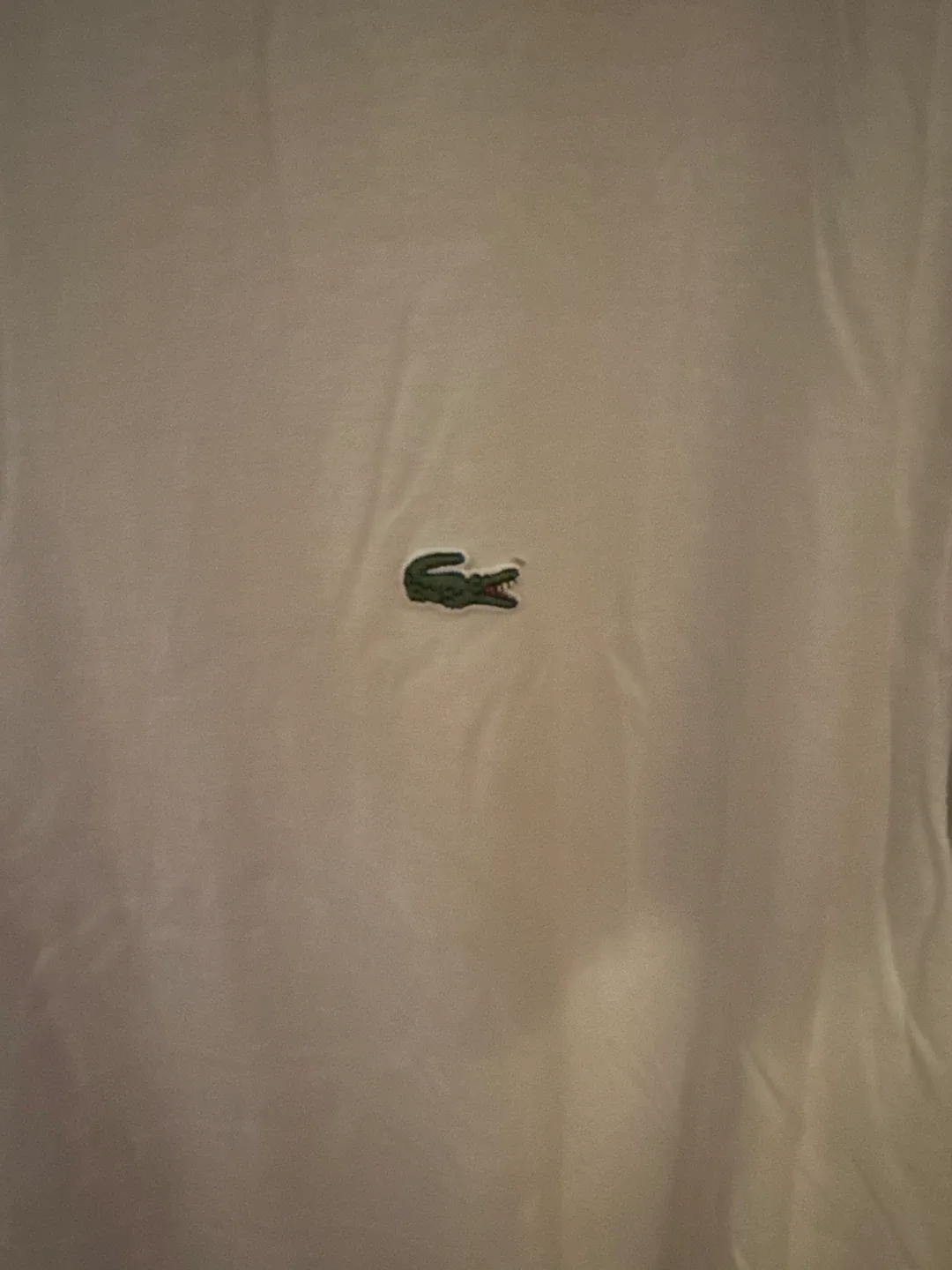 Lacoste White T-Shirt image indicator(2)