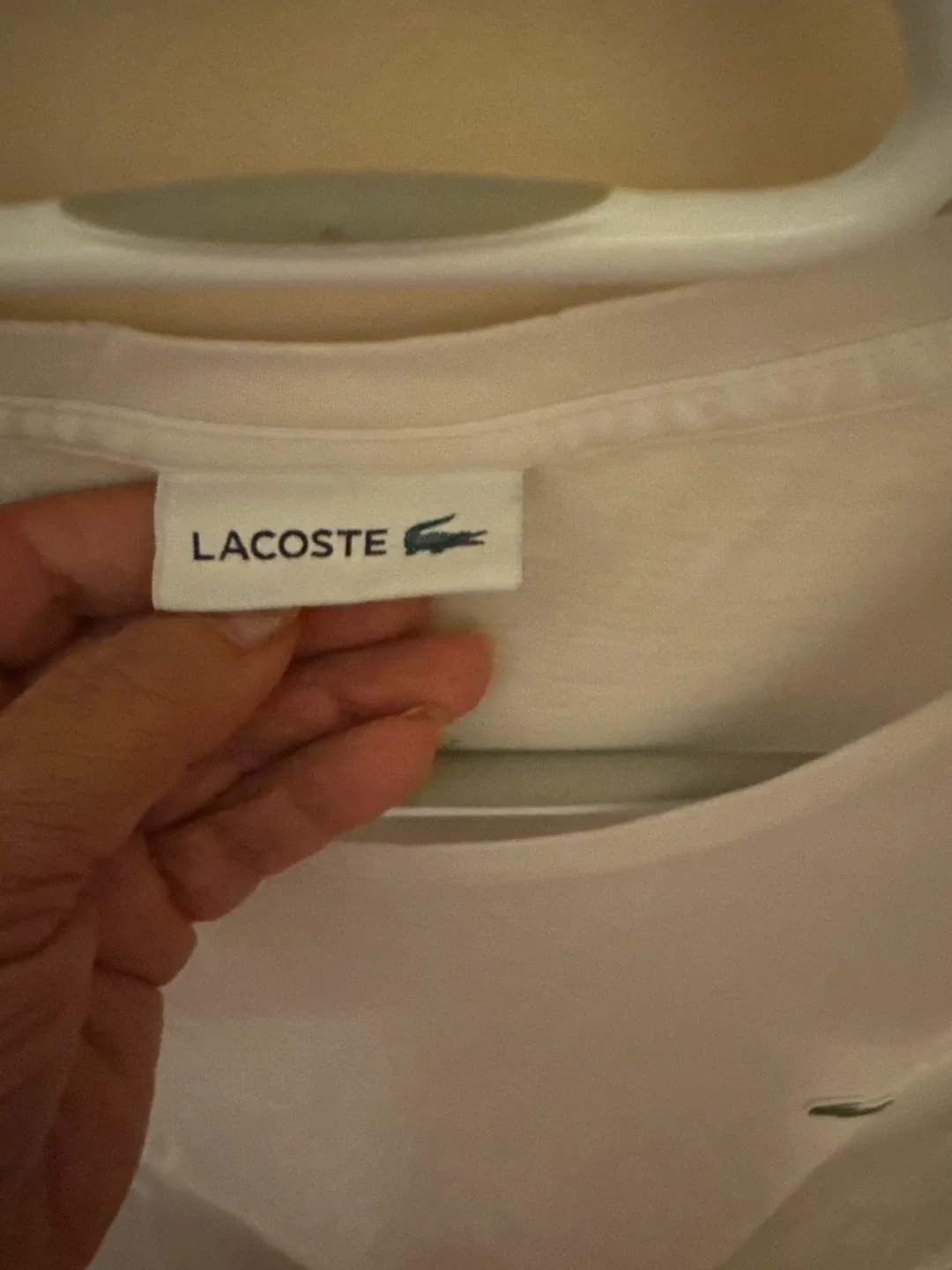 Lacoste White T-Shirt image indicator(3)