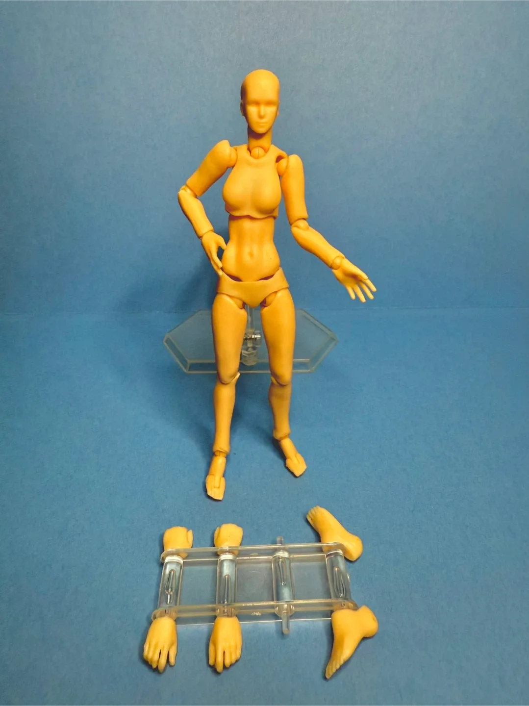 Posable Figures For Artists (Male and Female) image indicator(3)