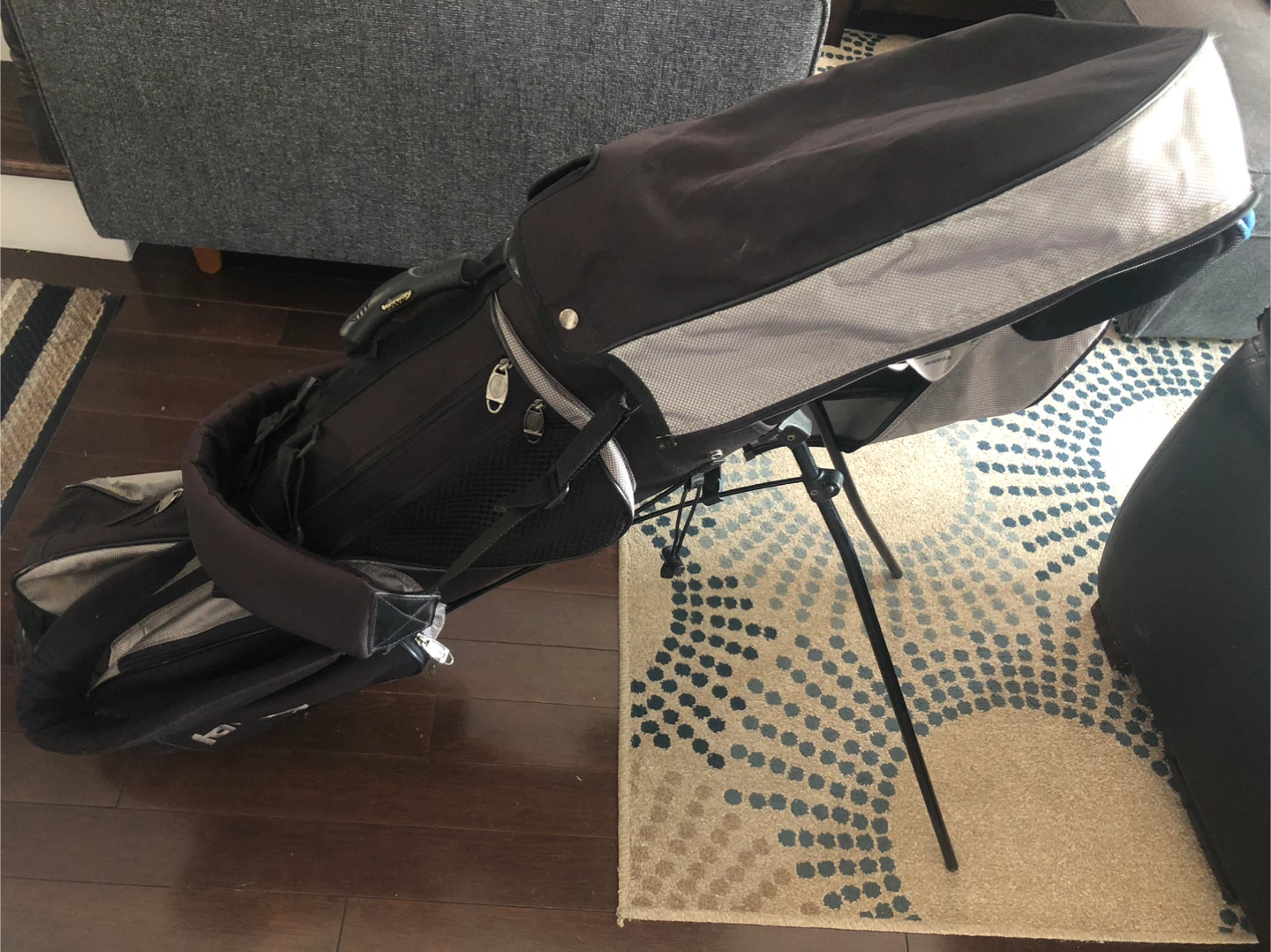 Golf bag with clubs ( left handed )