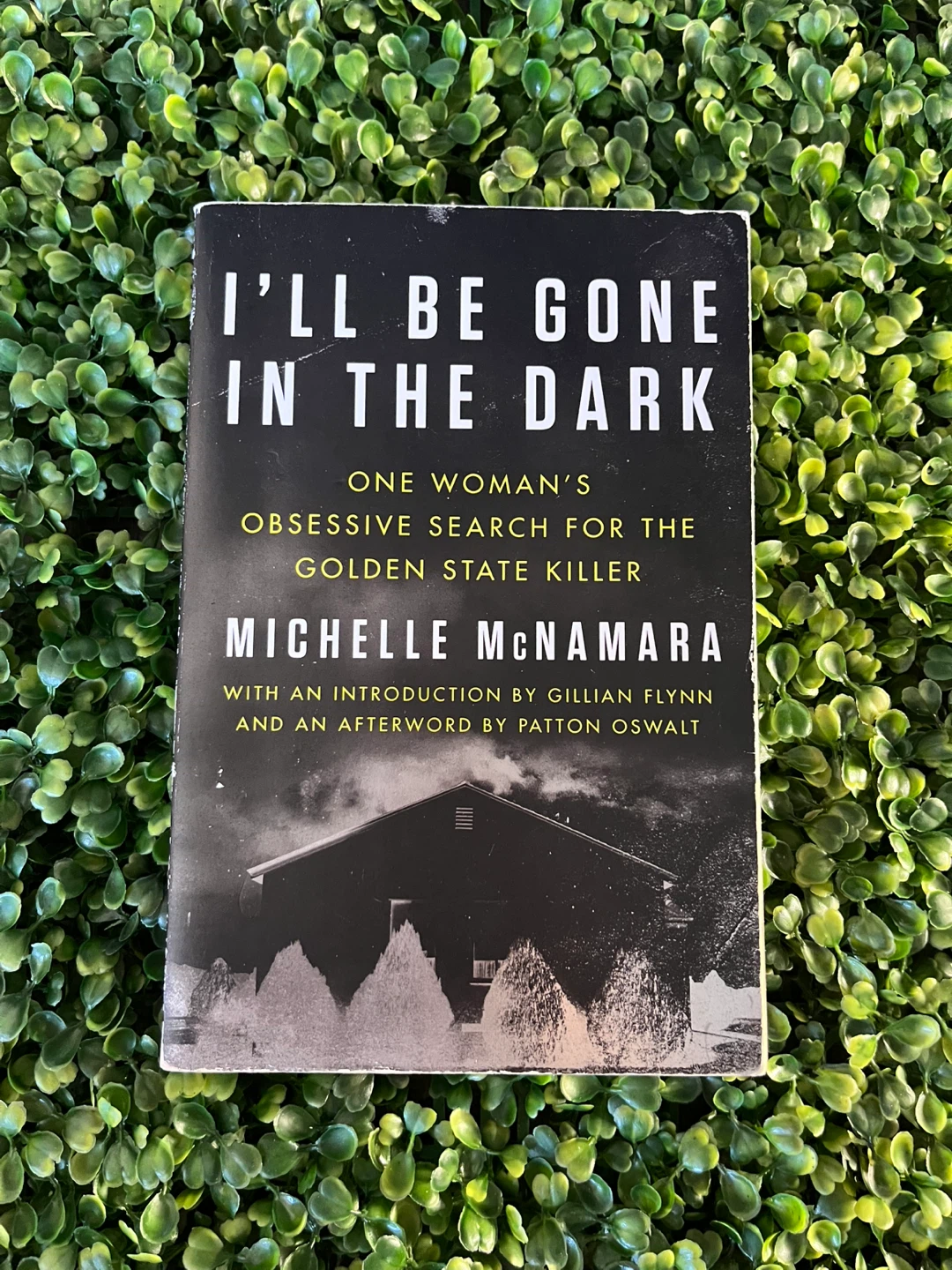 I'll Be Gone In The Dark Book
