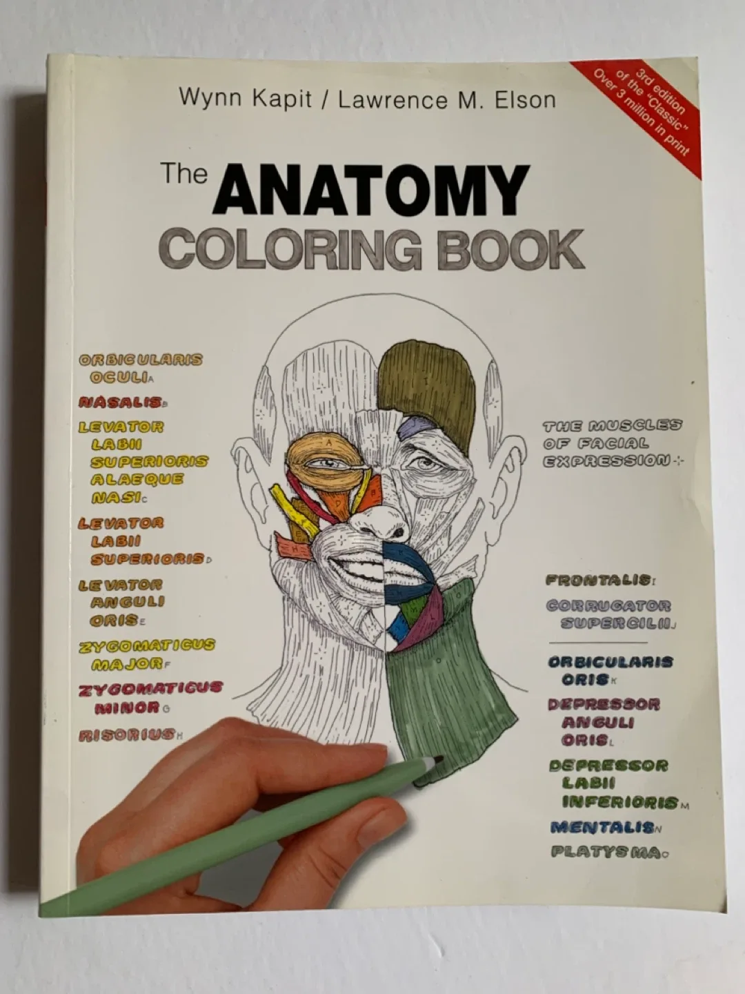 The Anatomy Coloring Book by Wynn Kapit thumbnail