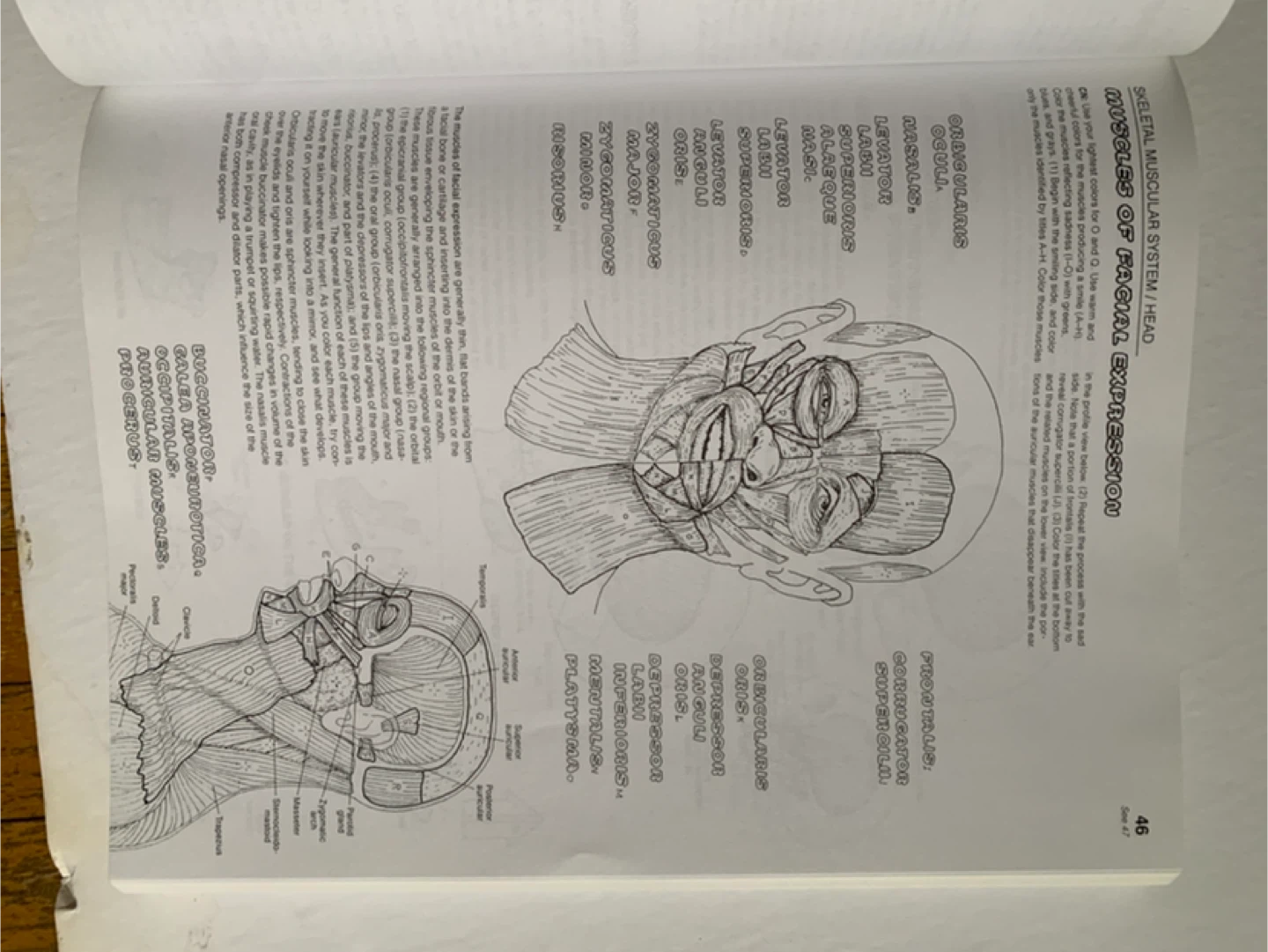 The Anatomy Coloring Book by Wynn Kapit - photo 2