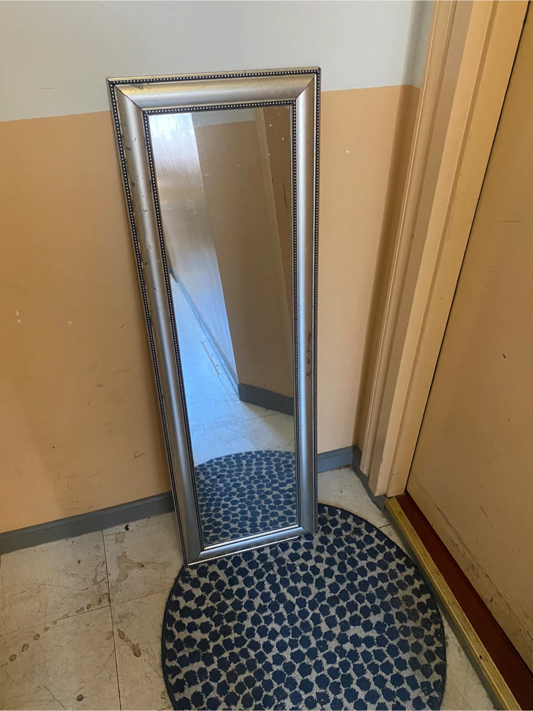 Silver Framed Full Length Mirror
