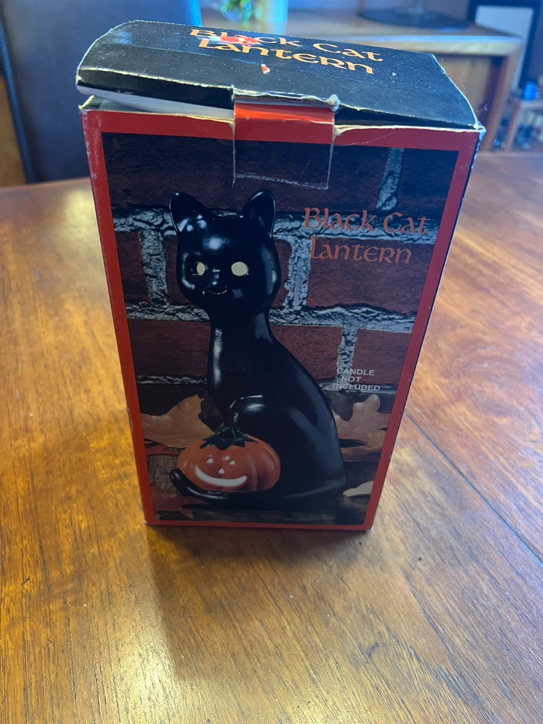 Black Cat Lantern with Pumpkin add a tea light