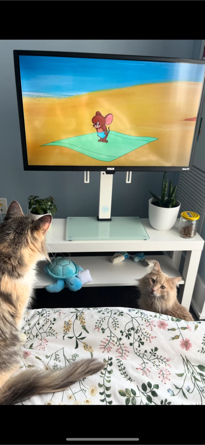 [price dropped] 33’ Roku TV + Stand - photo 2