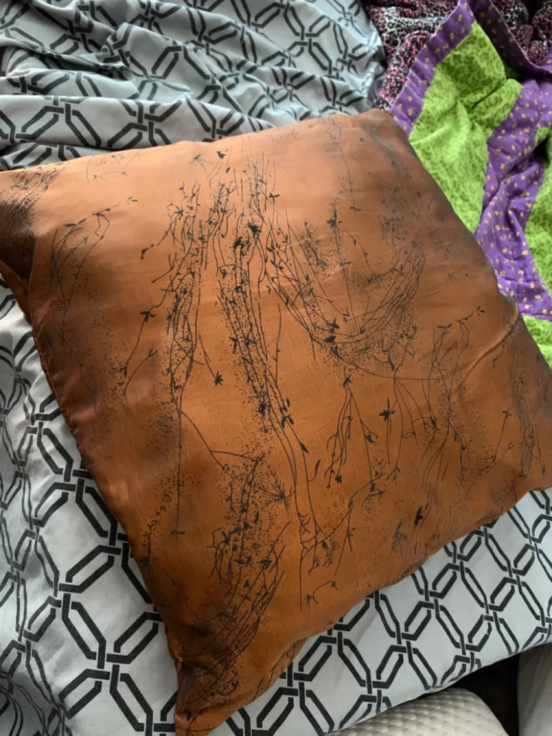 🥕Decorative Pillows thumbnail