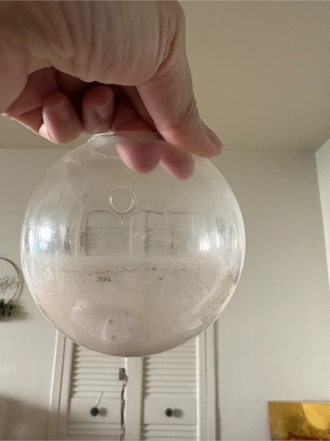 Glass Terrarium thumbnail