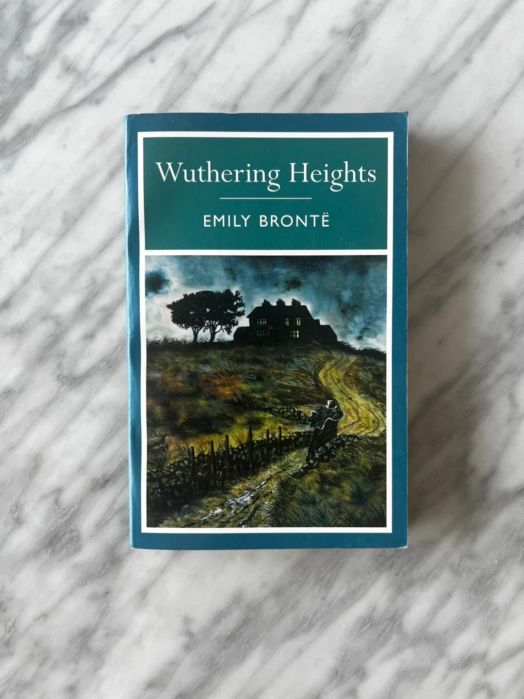 Wuthering Heights by Emily Brontë thumbnail