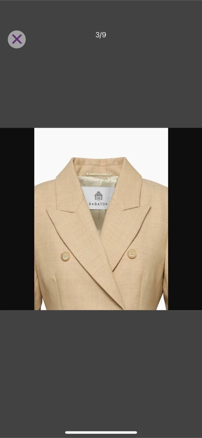 Aritzia Babaton Figure Coat Size Small *Worn Once* image indicator(3)