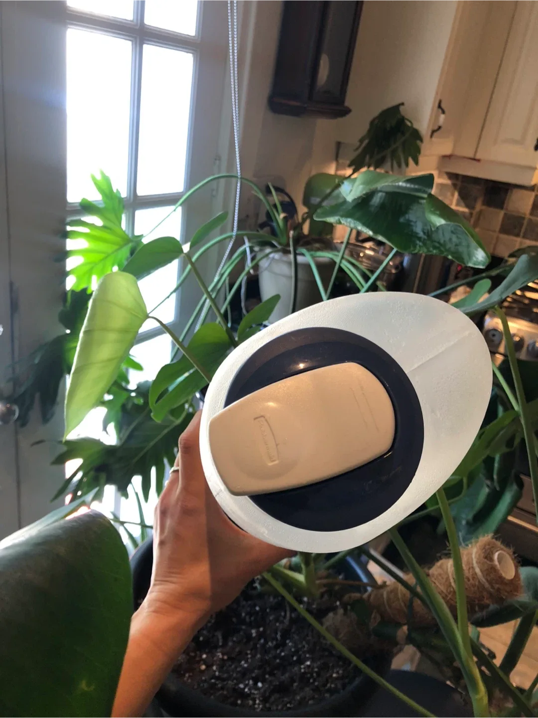 Rubbermaid leakproof Pitcher 3qt image indicator(2)