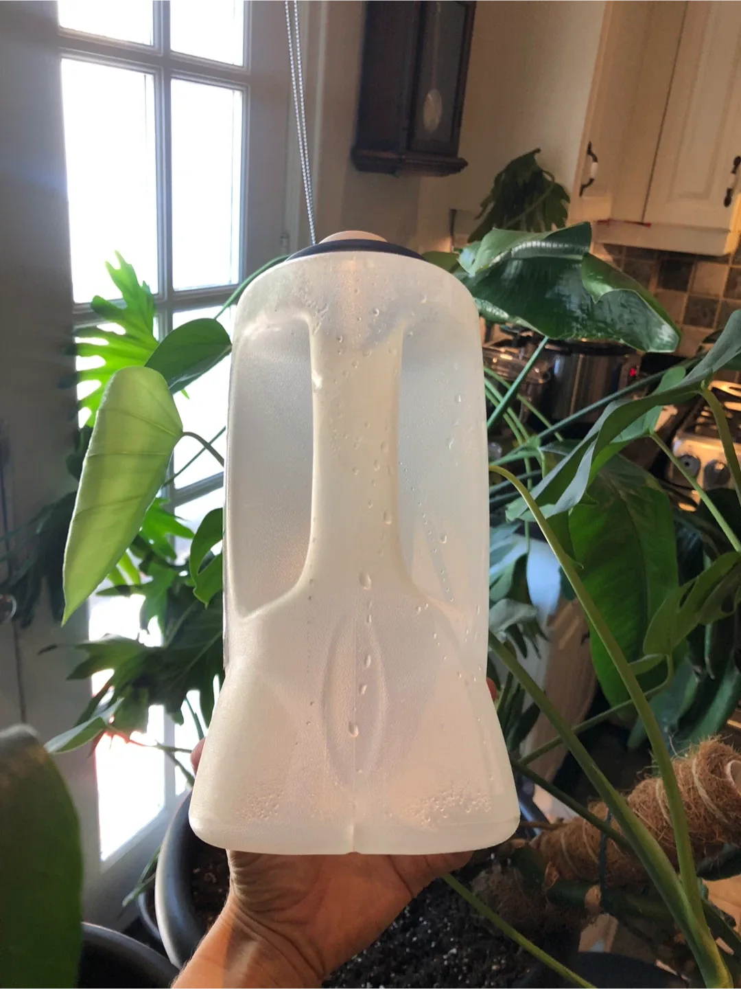 Rubbermaid leakproof Pitcher 3qt image indicator(3)