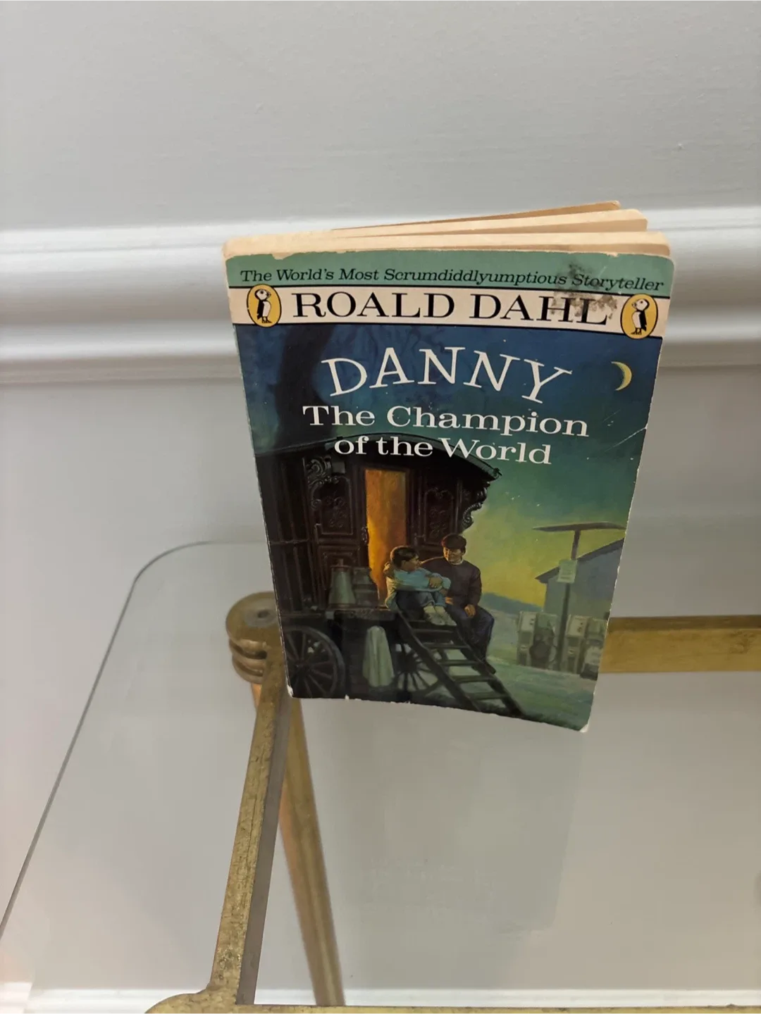 🥕Danny the Champion of the World by Roald Dahl thumbnail