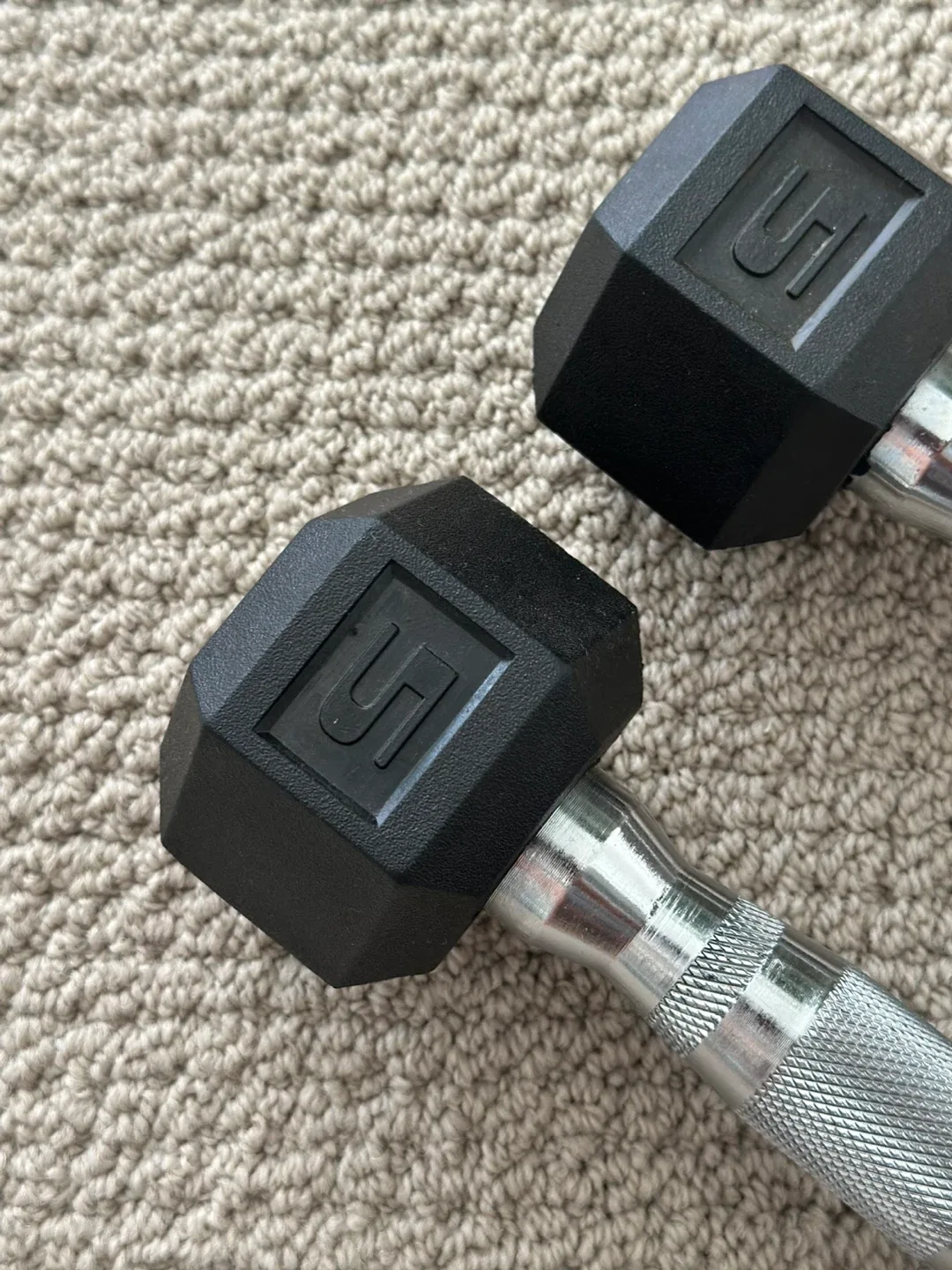 Pair of 5 lb Dumbbells thrifty pick 🥕 image indicator(3)