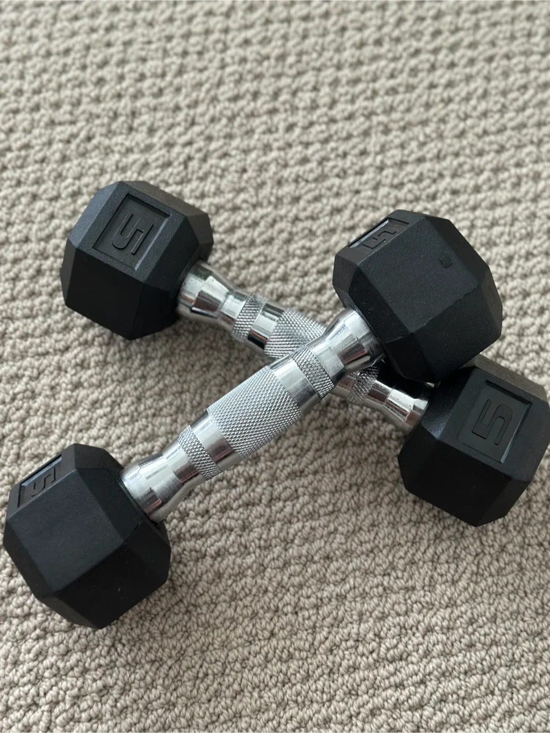 Pair of 5 lb Dumbbells thrifty pick 🥕 image indicator(2)