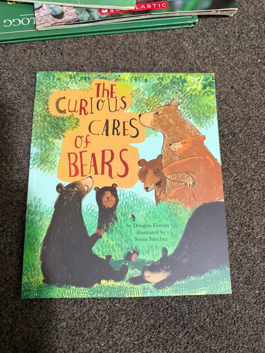 Children's Books Lot - photo 5