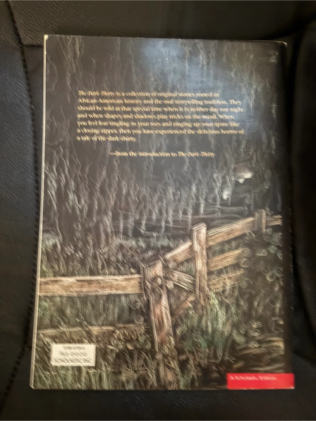 The Dark-Thirty by Patricia C. McKissack - photo 2