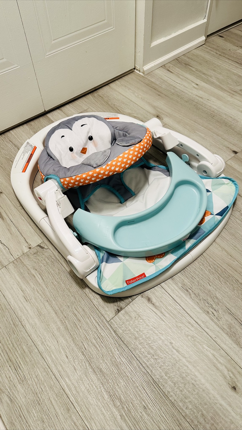 Fisher-Price Foldable Sit Me Up Chair and Activity Center - photo 4