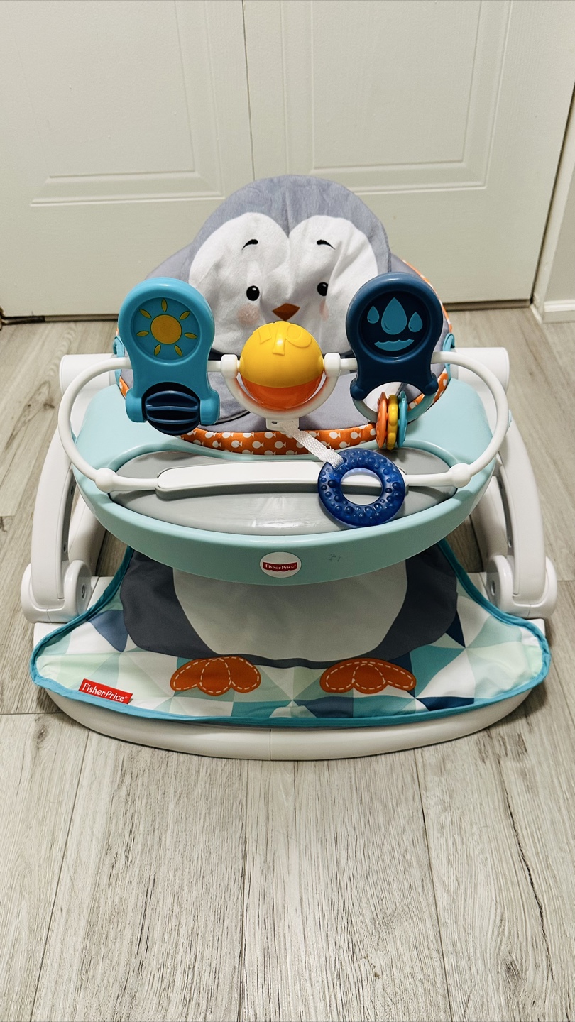 Fisher-Price Foldable Sit Me Up Chair and Activity Center