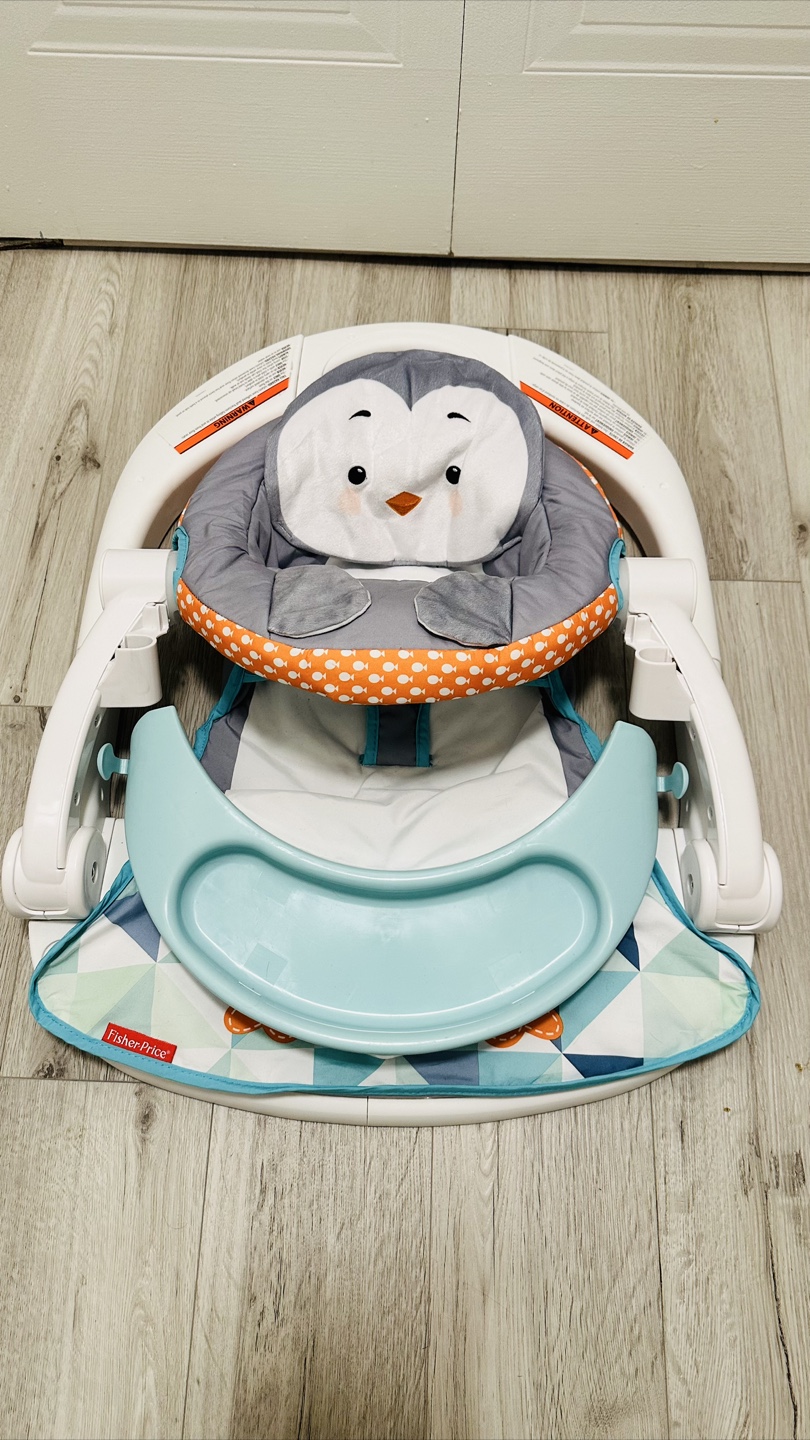 Fisher-Price Foldable Sit Me Up Chair and Activity Center - photo 3