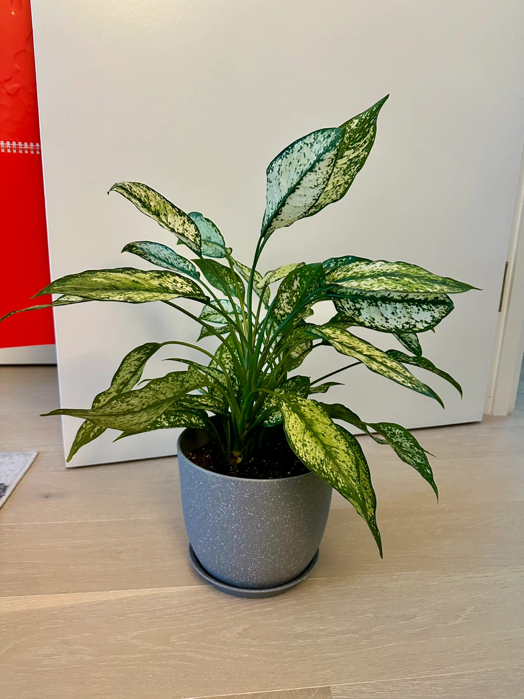 Silver Bay Plant