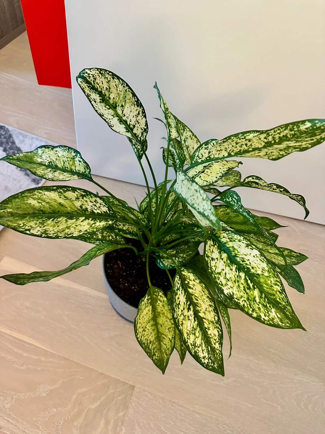 Silver Bay Plant - photo 3