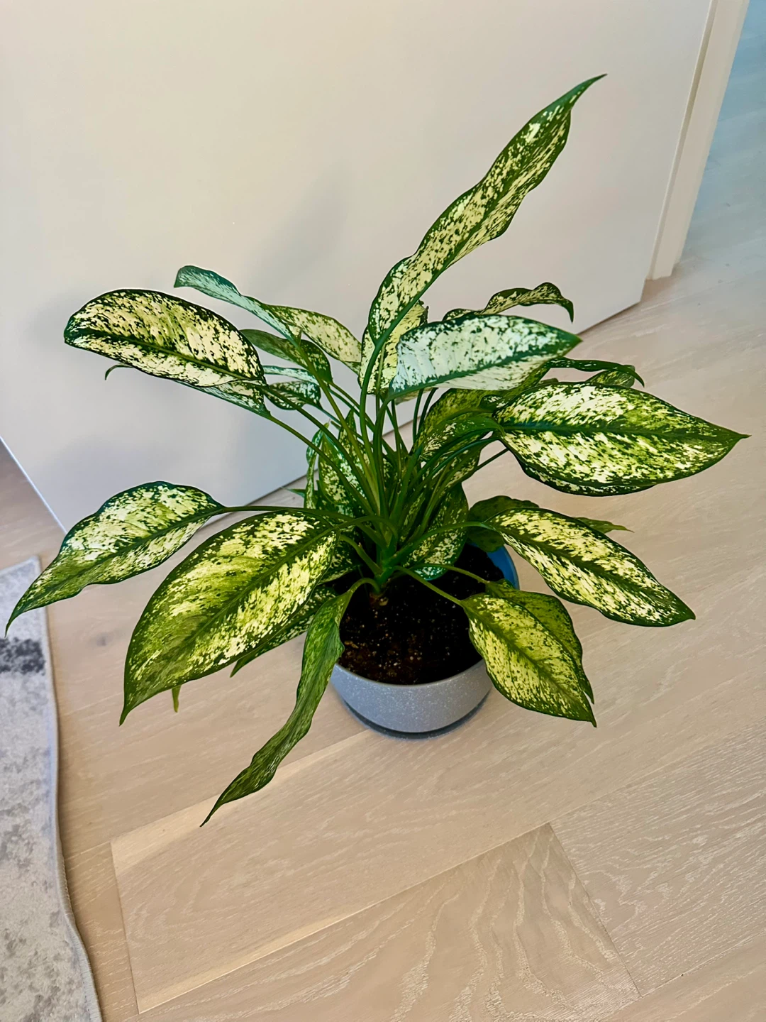 Silver Bay Plant - photo 2