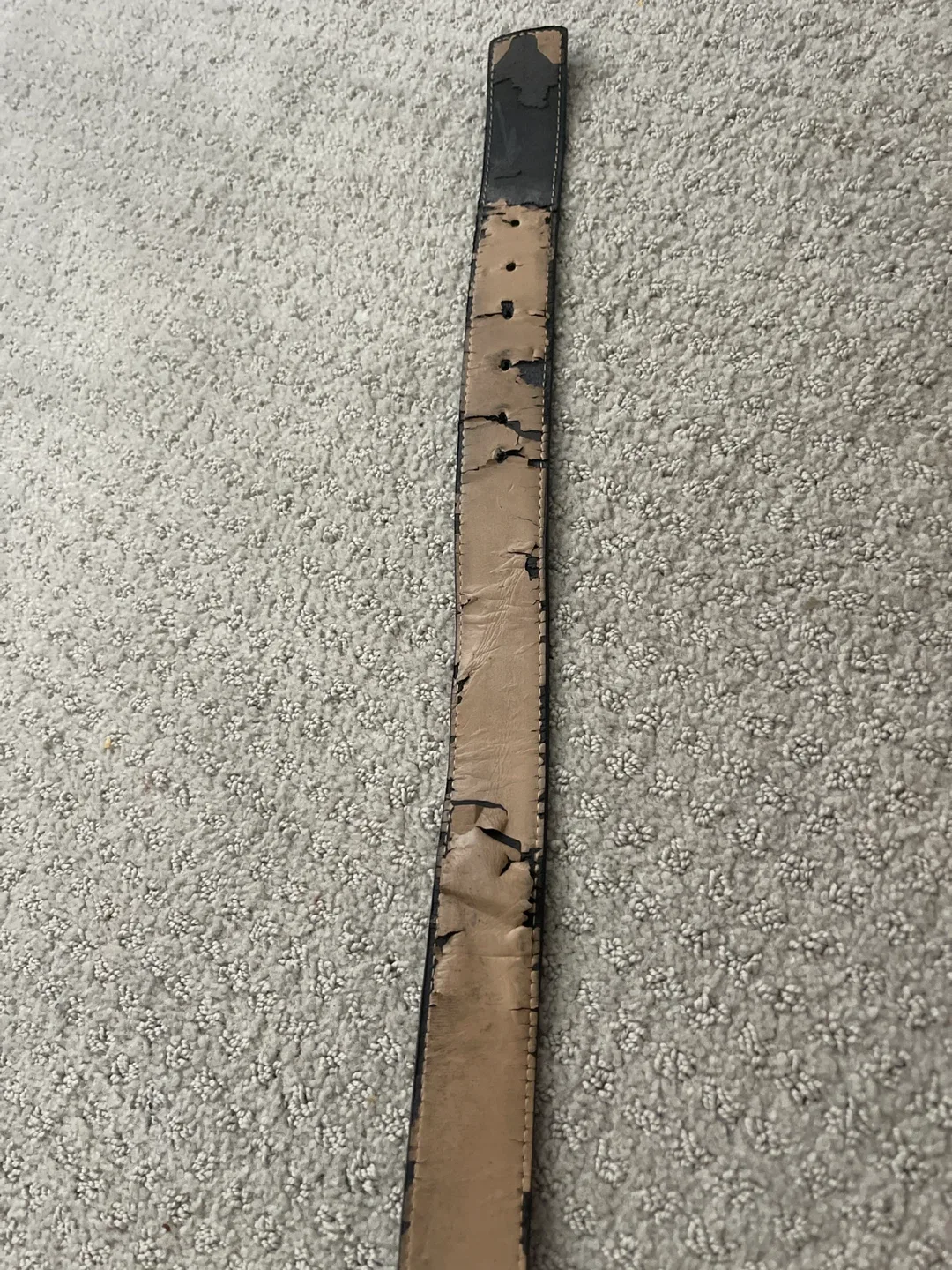 Louis Vuitton Damier Graphite Belt image indicator(3)