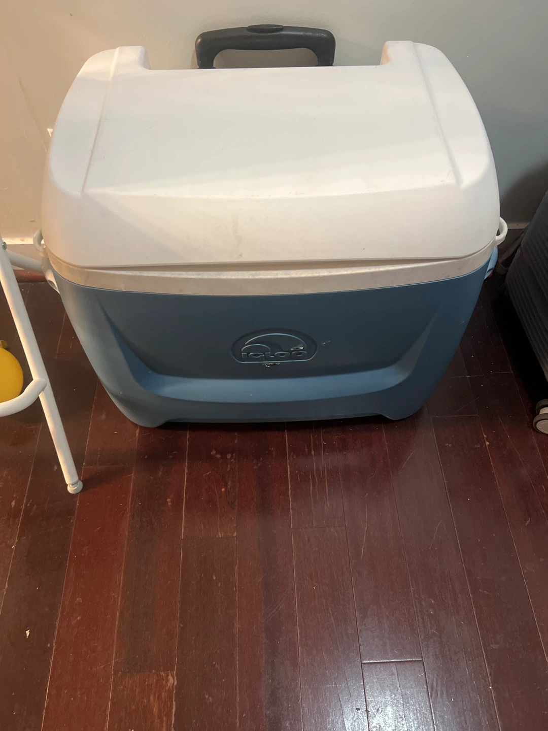 Igloo Wheeled Cooler - Blue and White