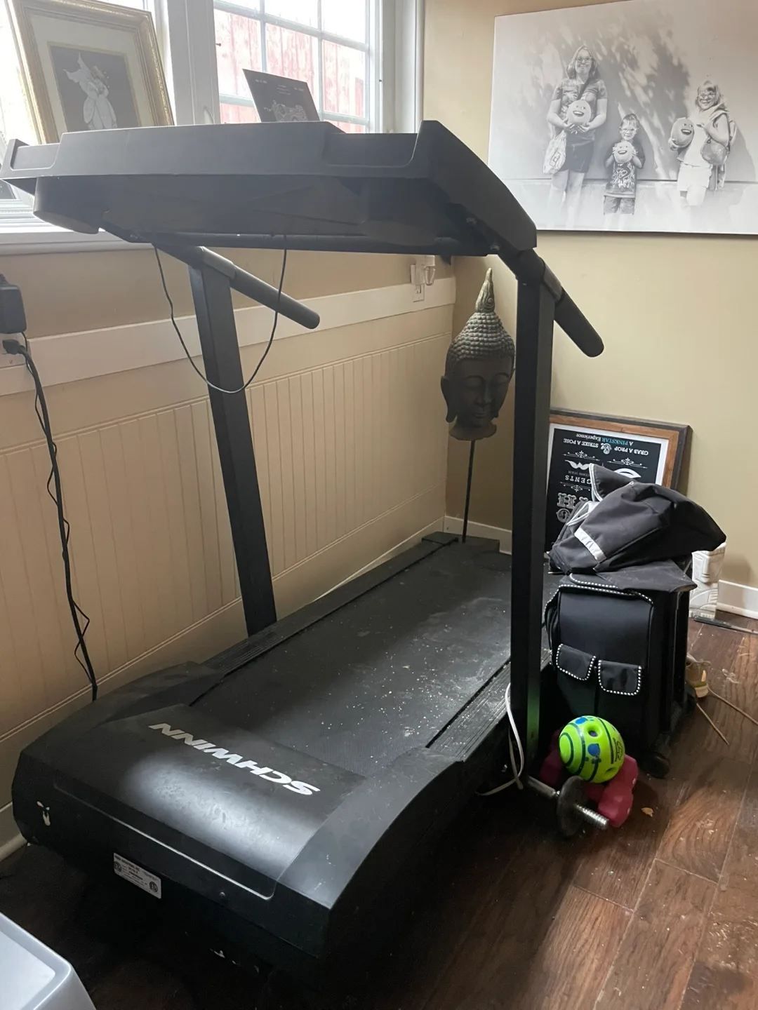Schwinn treadmill 6110 thumbnail