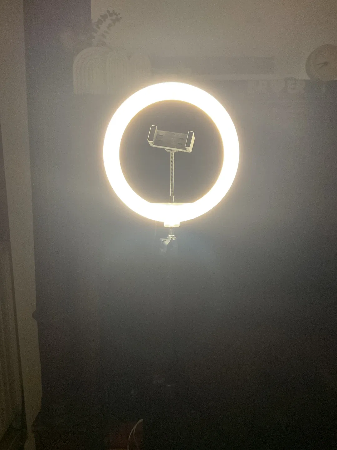 Ring Light with Tripod Stand-2