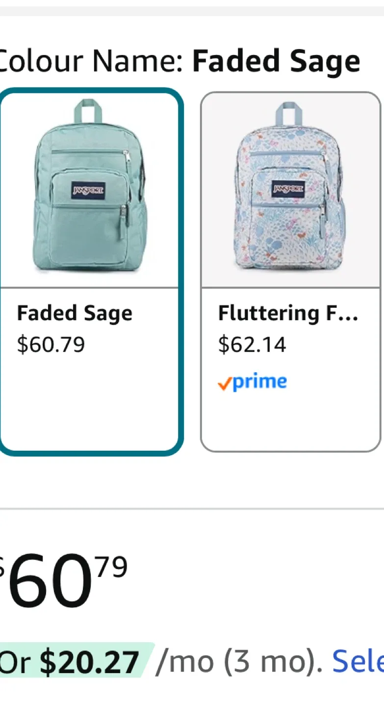 JanSport Big Student Backpack - Mint image indicator(6)