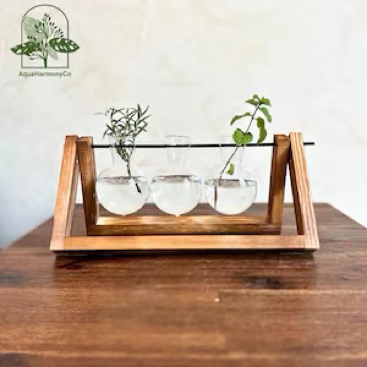 Aqua Harmony Co Propagation Station - photo 4