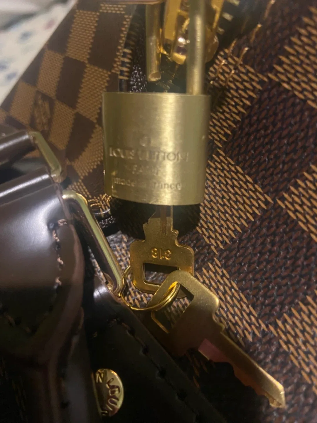 Inspired LV Speedy Damier Ebene thumbnail