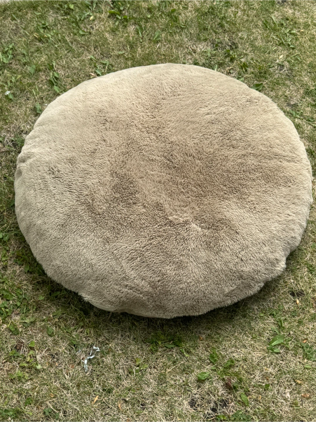 Dog bed