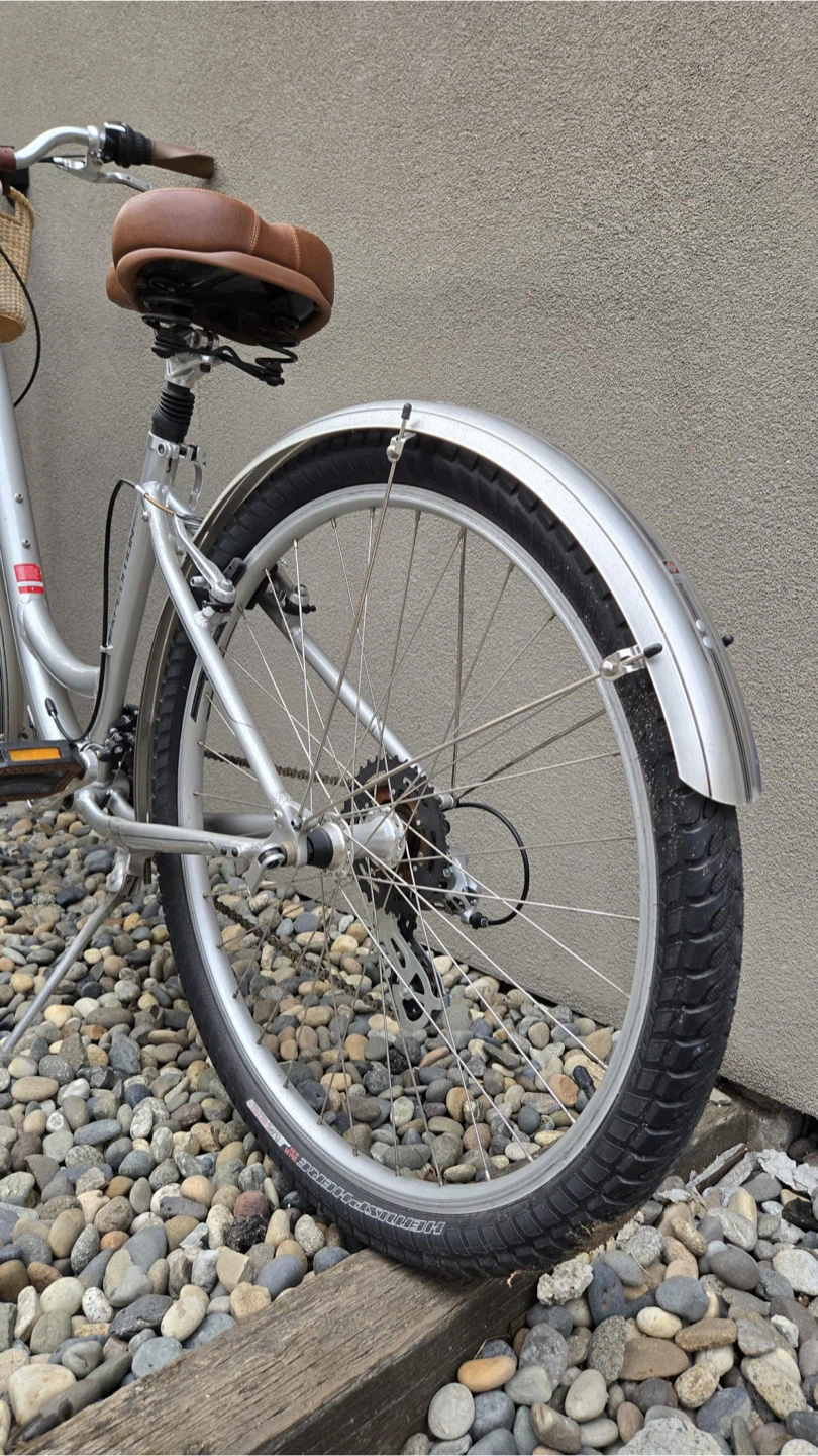 Specialized Bike - Silver - photo 3