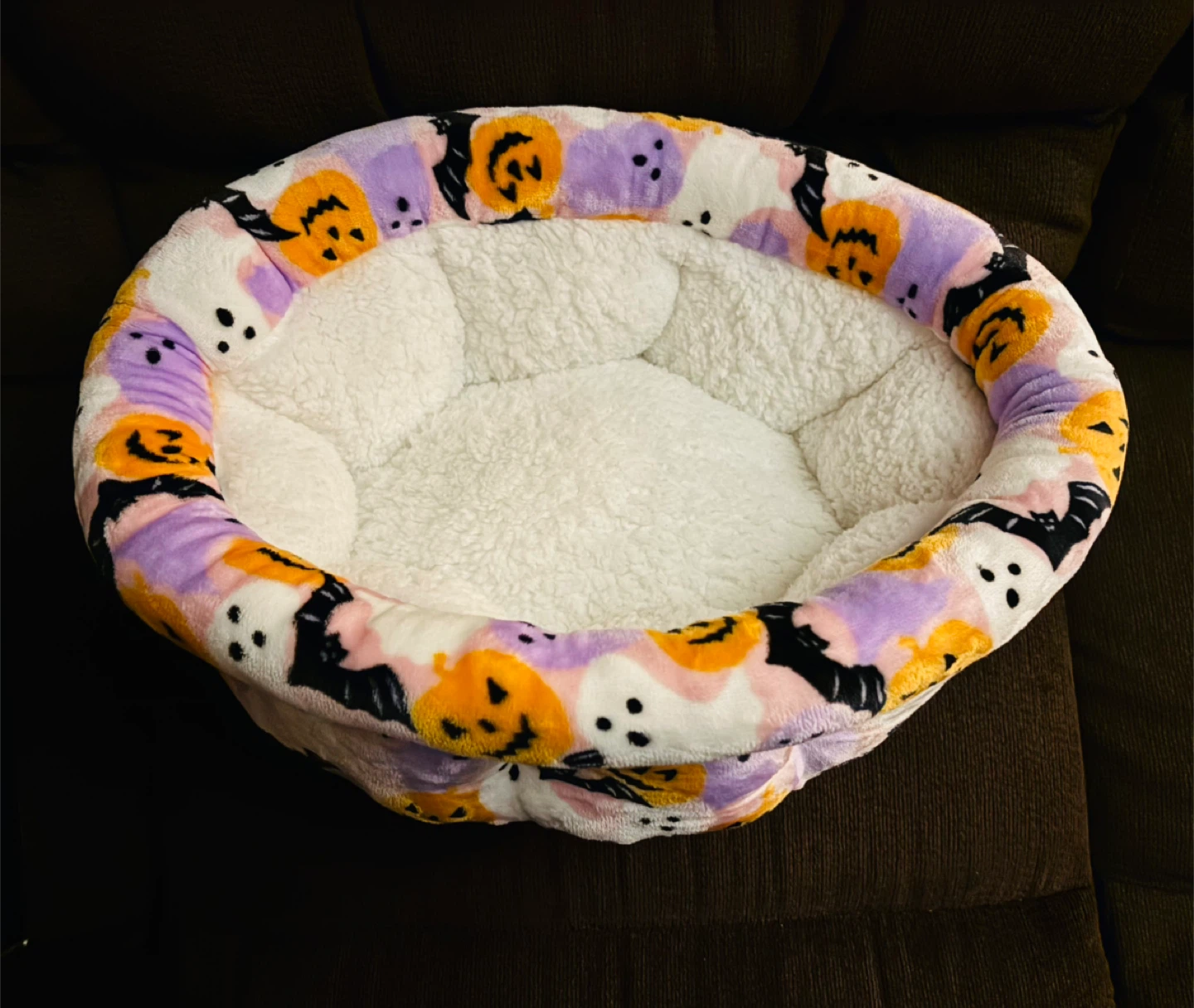 🥕Halloween Pet Bed - Small