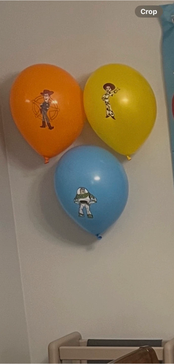 Toy Story Birthday Party Supplies - photo 2