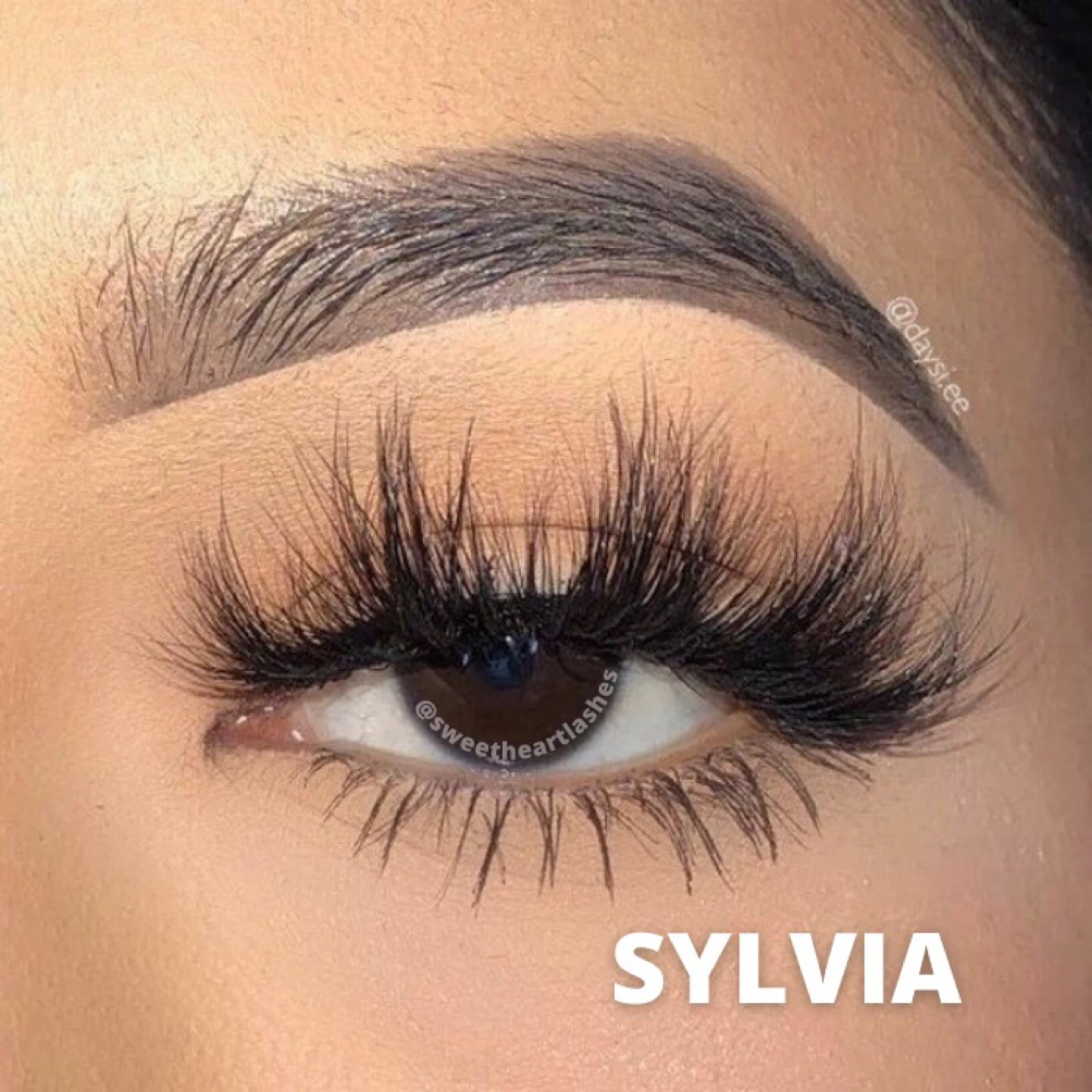 Sweetheart Lashes - False Eyelashes - photo 4