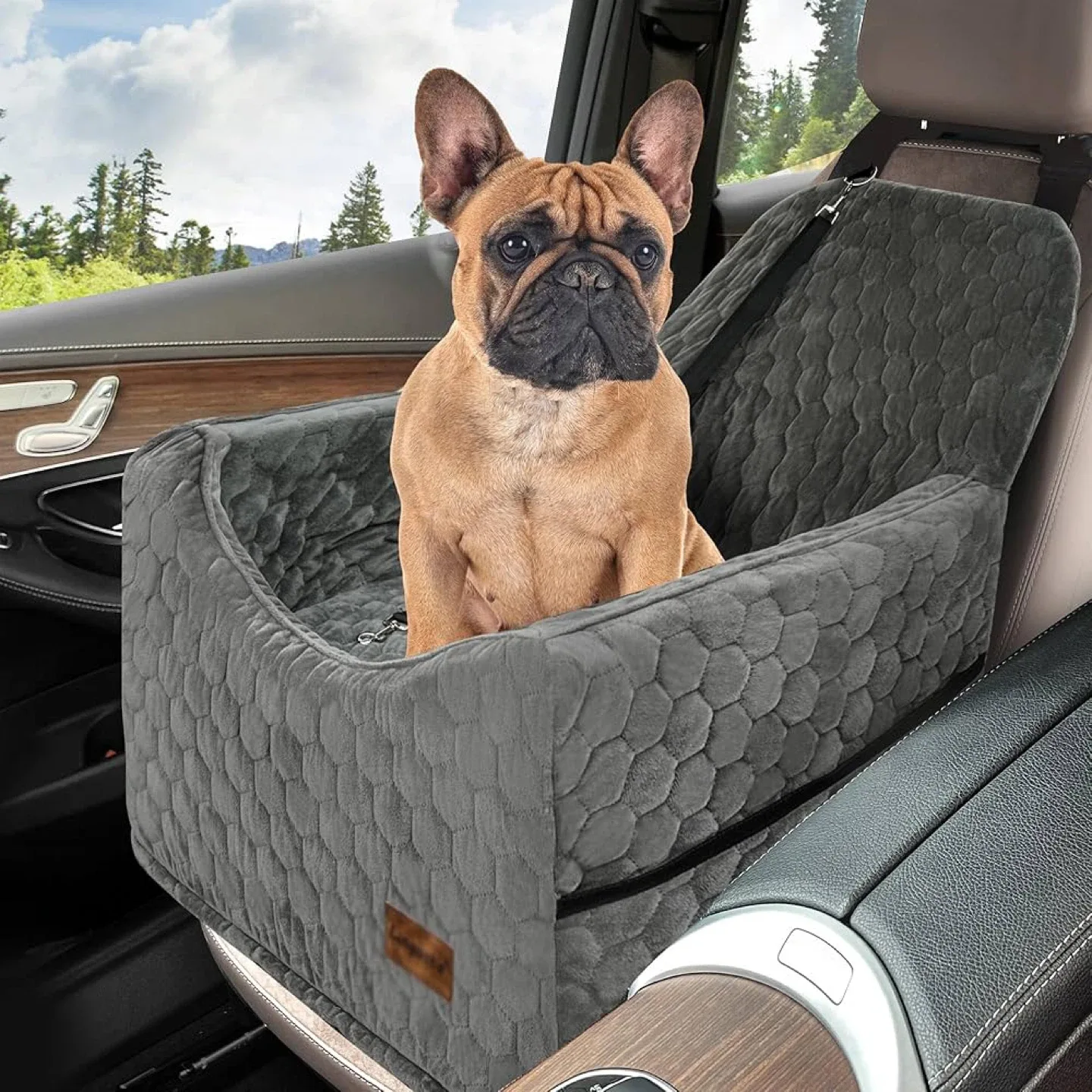 Lingusta Dog Car Seat thumbnail