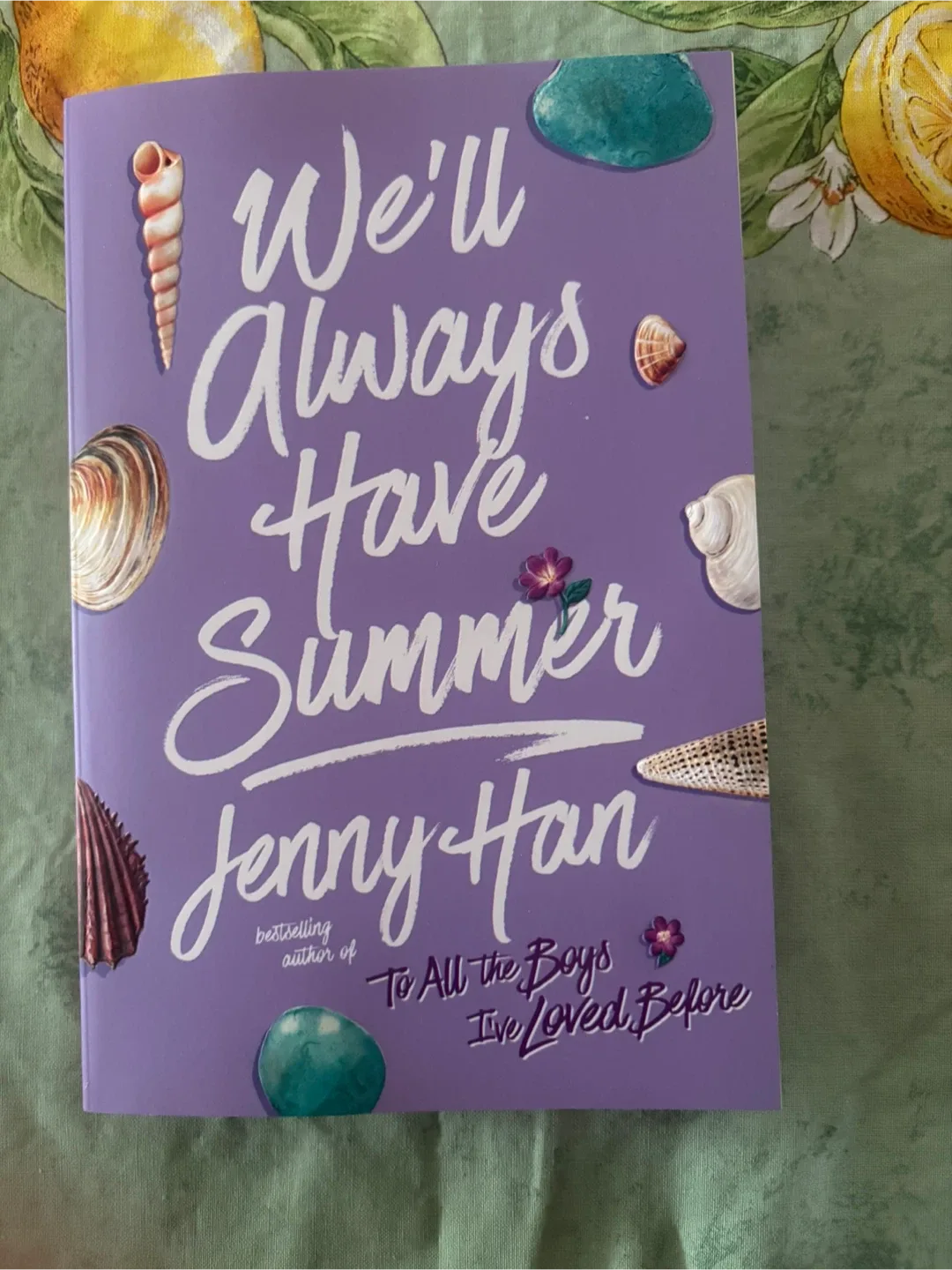 The summer I turned pretty 3rd Book thumbnail