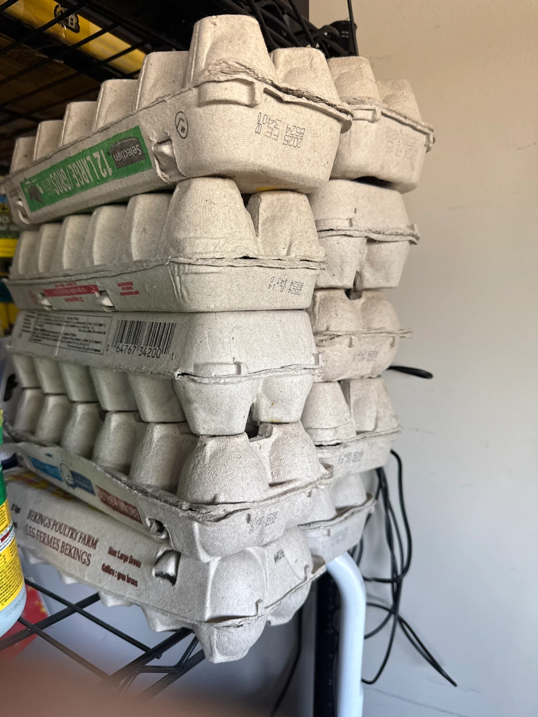 Eggs