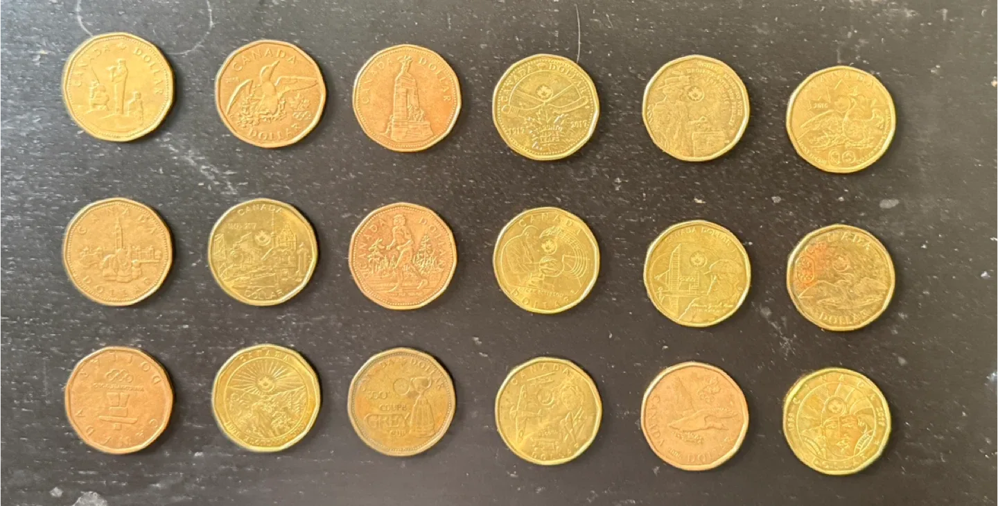 Canadian One Dollar Coins (Loonies) thumbnail