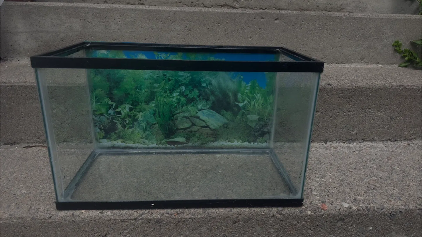 Glass Fish Tank thumbnail