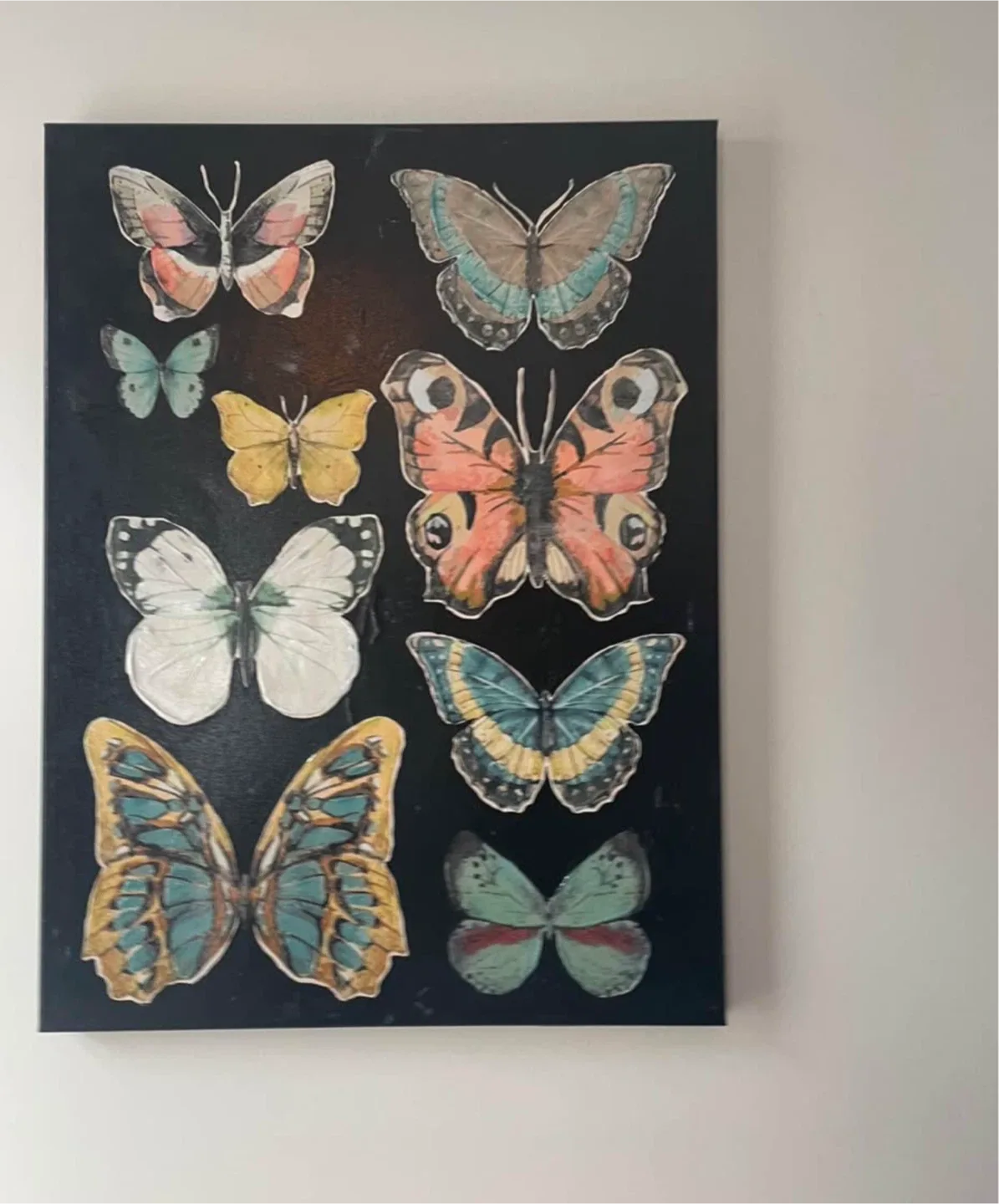 Butterfly Canvas Wall Art thumbnail