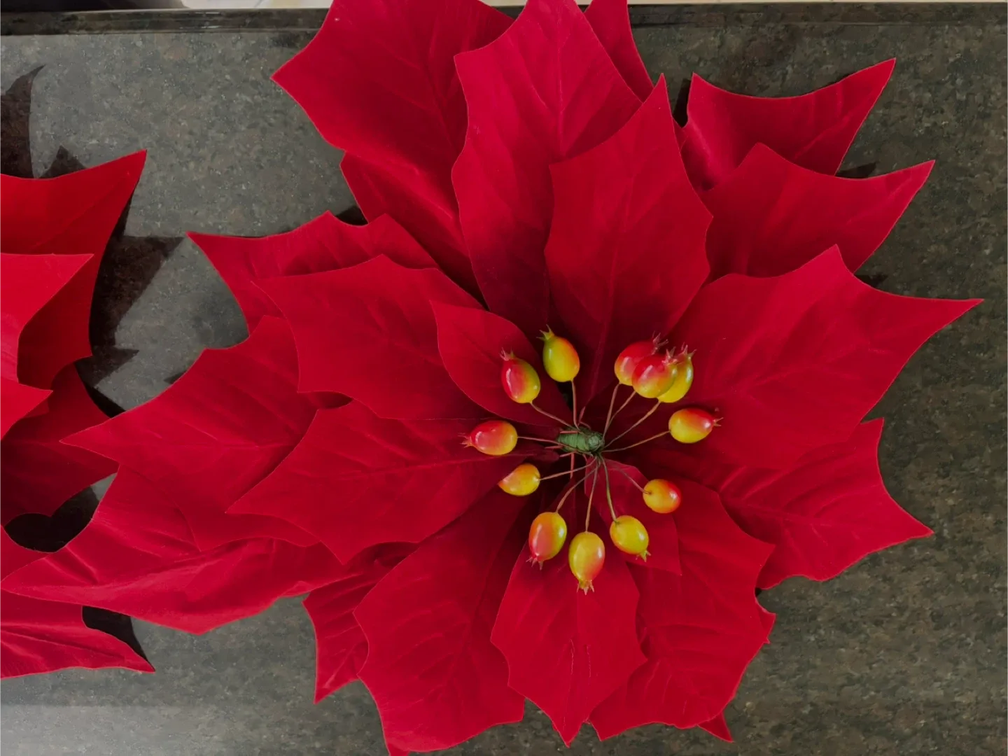 3 Large Velveteen Hanging Pointsettias 24” image indicator(3)