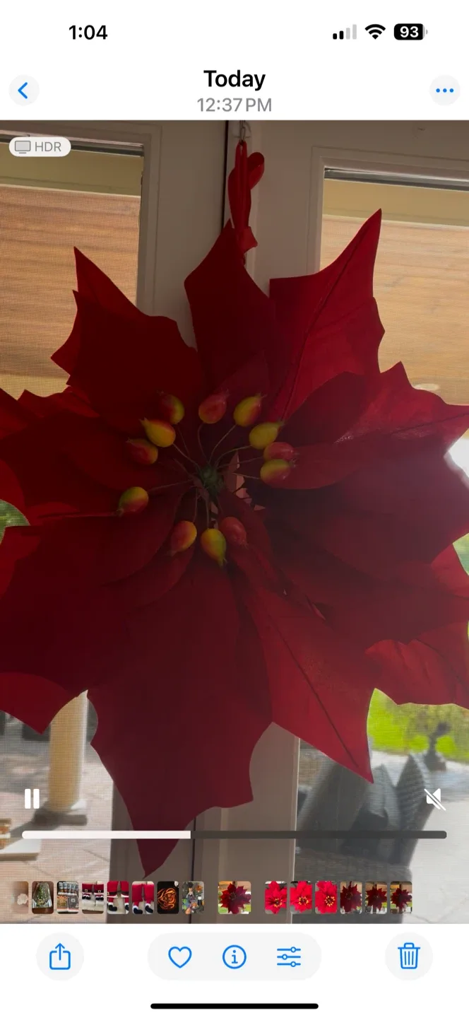 3 Large Velveteen Hanging Pointsettias 24” image indicator(4)