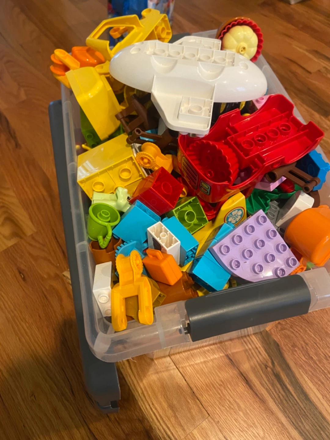 LEGO DUPLO Blocks in Storage Container - photo 2