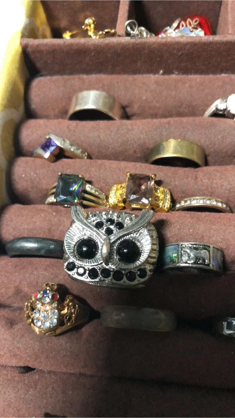 Assorted Rings (925 & Stainless Steel) image indicator(2)